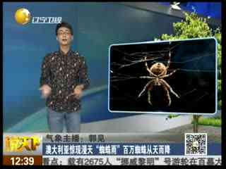 英电视台直播时遇蜘蛛搅局 镜头前吞噬昆虫(图)